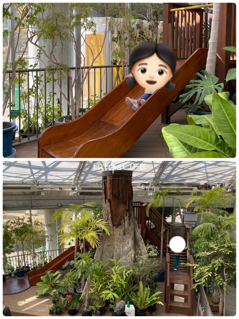 夢の島熱帯植物館のイベントスペース